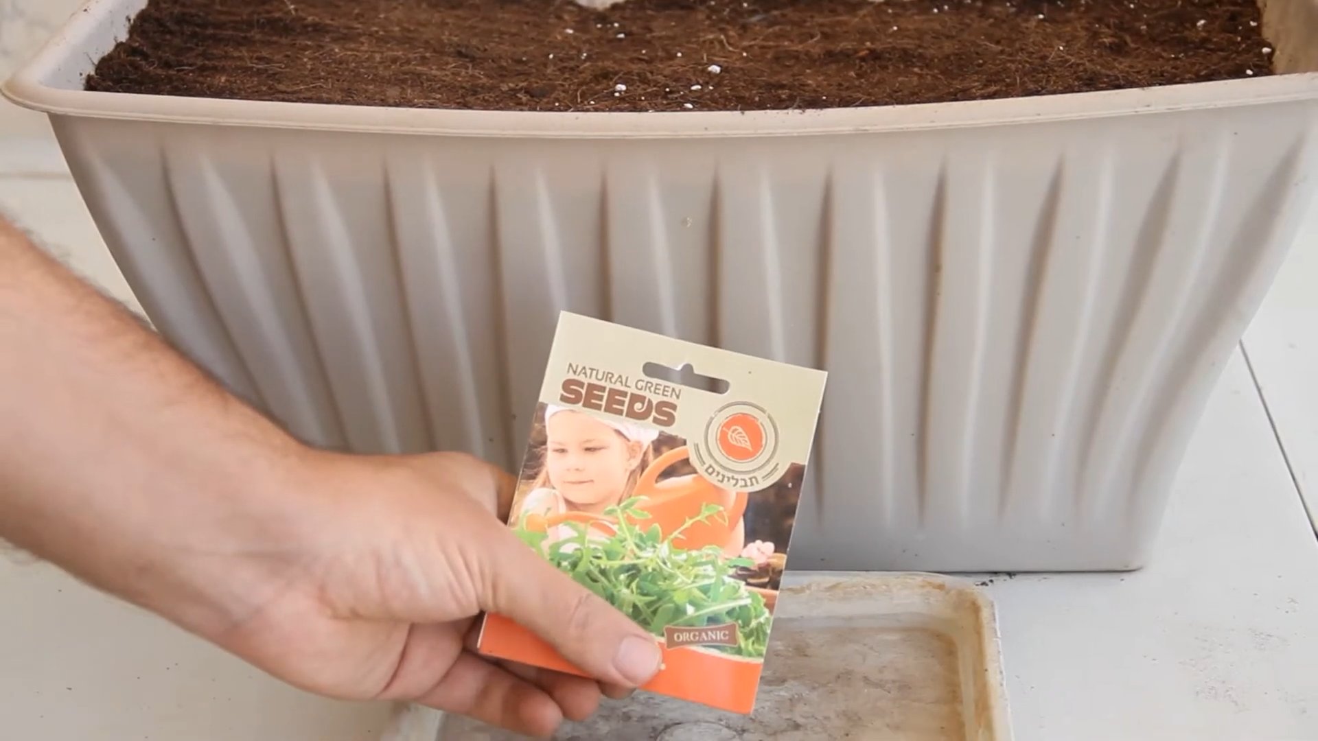 Grow Arugula at Home