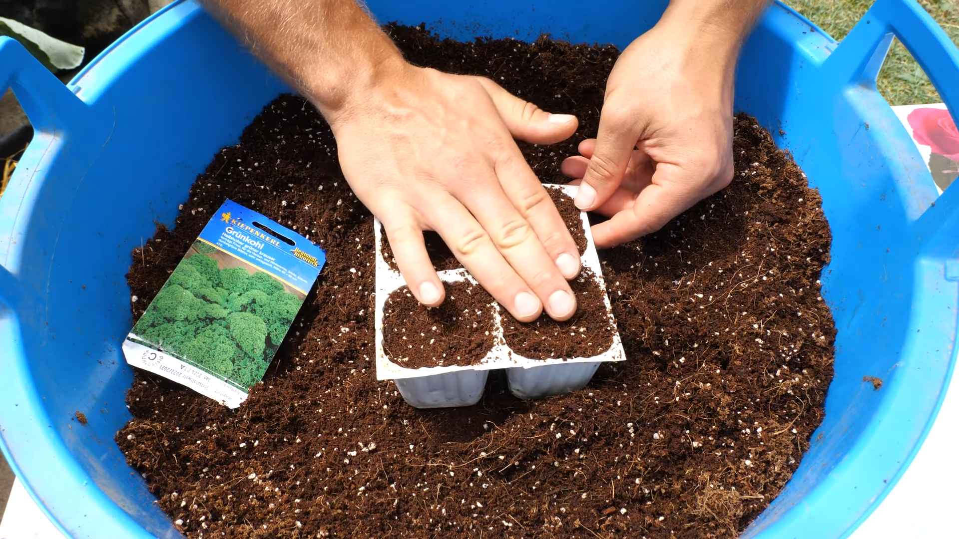 Grow Kale Kitchen Corner