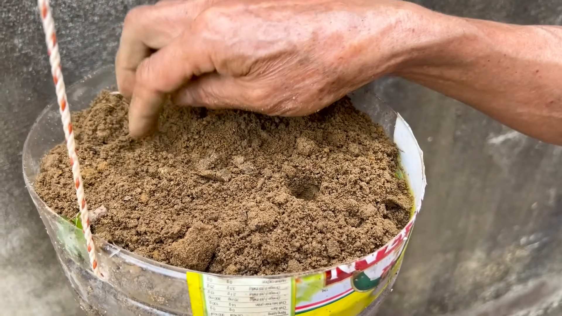 Grow Sweet Melons