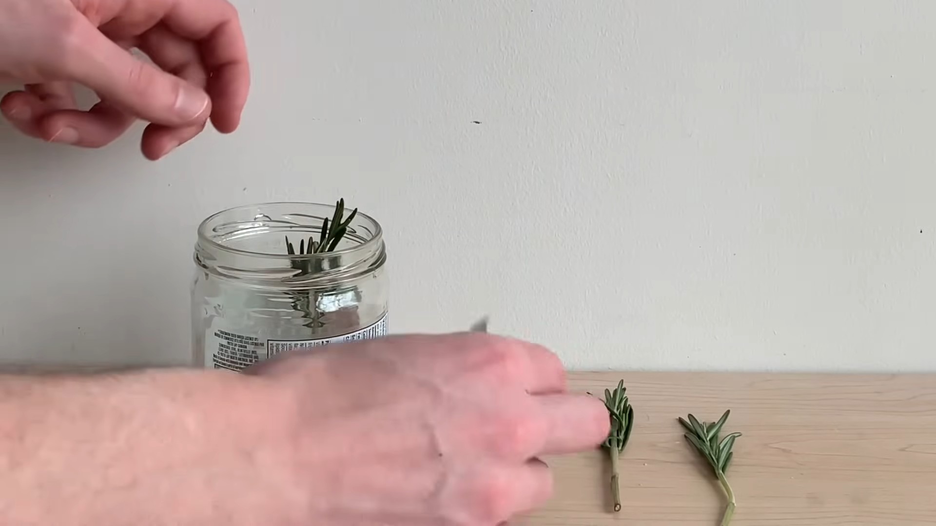 Soil free rosemary propagation