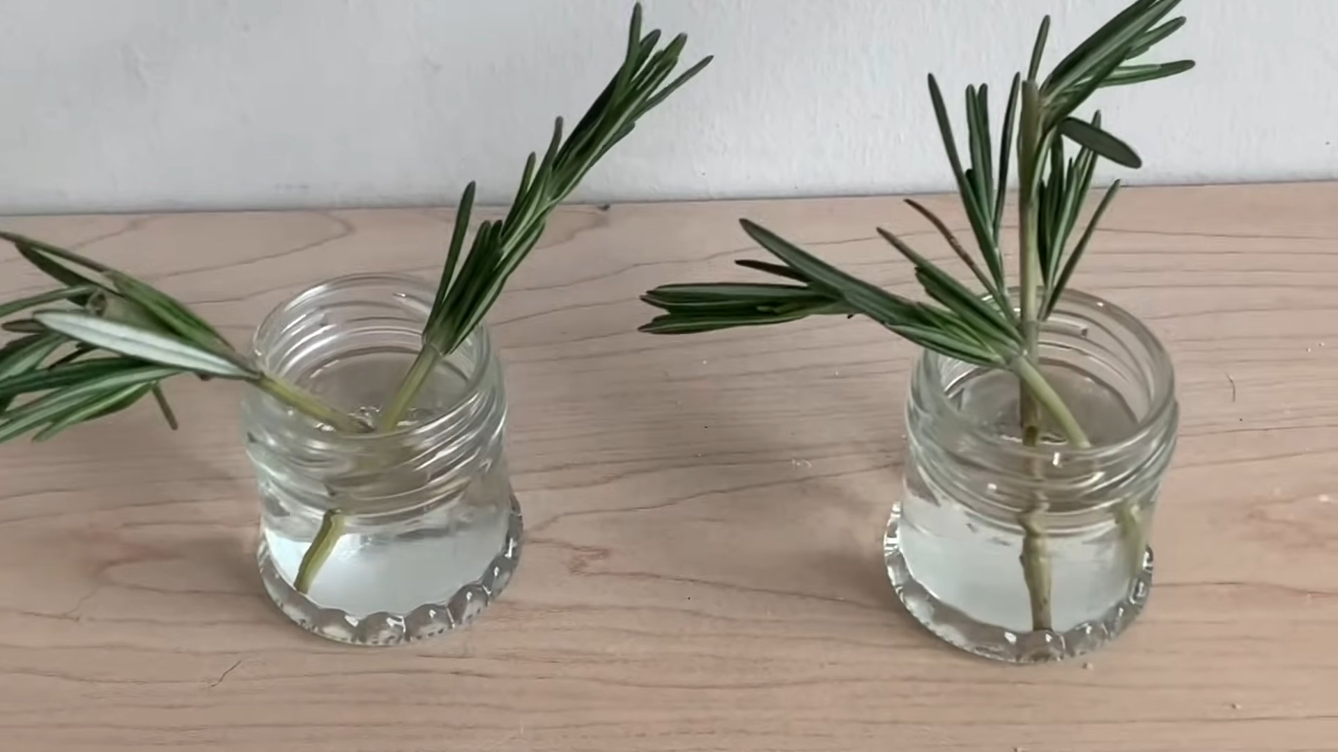Grow Rosemary Kitchen